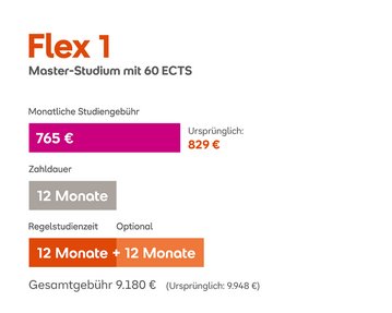 Flex-Modell 1 (Variante 60 ECTS)